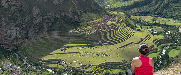 Inca
