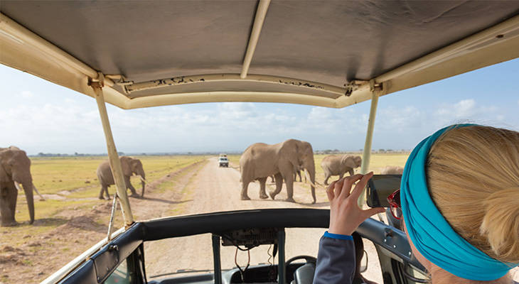 Olifanten spotten tijdens game drive in Amboseli National Park