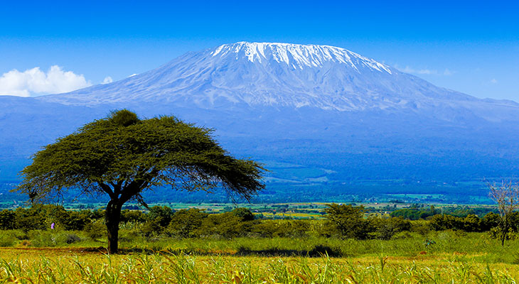 Kilimanjaro