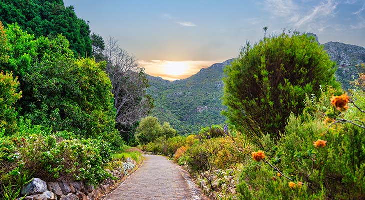 Pad door Kirstenbosch