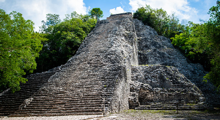 Cobá