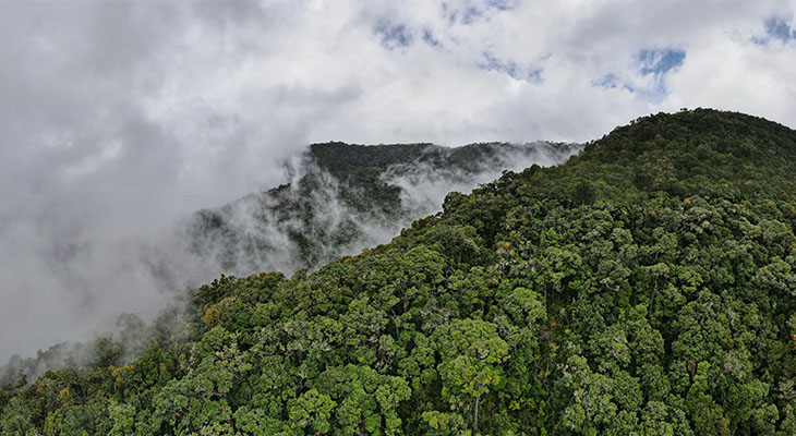 Los Quetzales National Park dichtbij San Gerardo de Dota