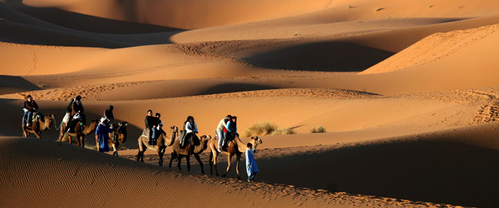 Sahara woestijn met kamelen in marokko Sahara woestijn met kamelen in marokko