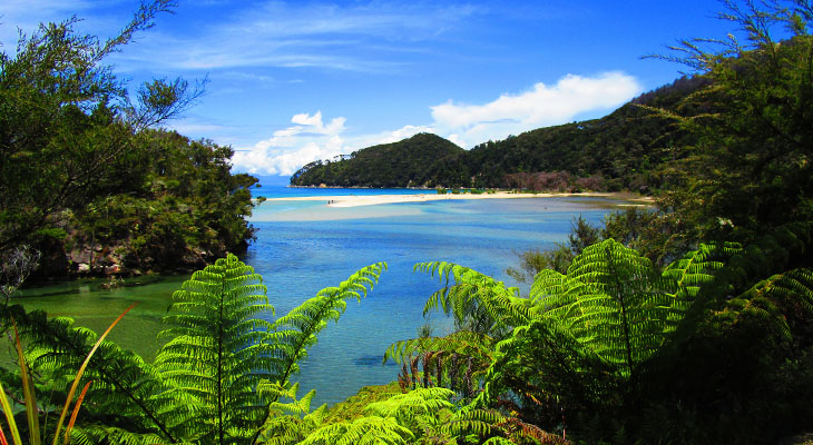 Abel Tasman Nationaal Park in Nieuw-Zeeland