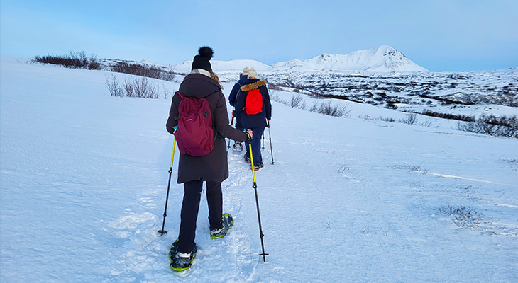 Sneewschoenwandeling Myvatn