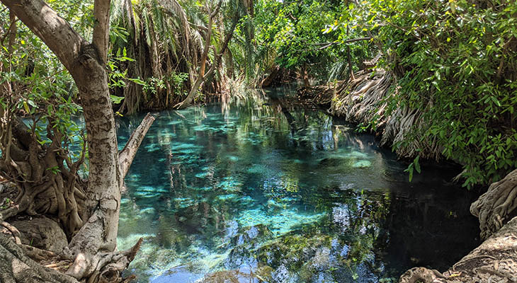 Kikuletwa Hot Spring in Tanzania