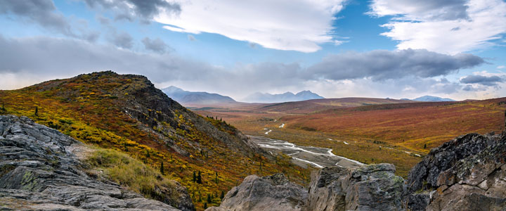 Denali nationaal park Denali nationaal park