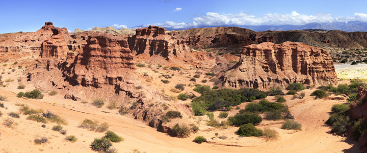 Salta Salta