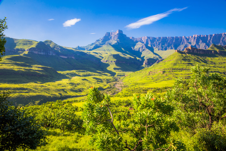 Tafelberg Zuid Afrika