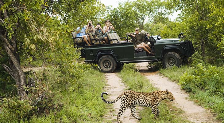 Game drive in Krugerpark