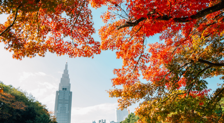 Harajuku - Yoyogi Park