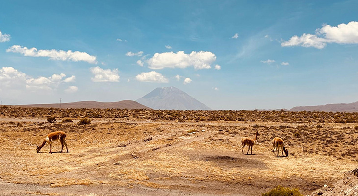 Peru