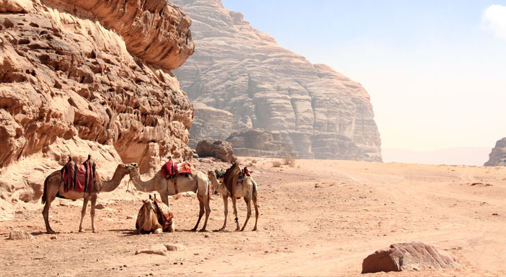 Kamelentocht Wadi Rum Jordanië