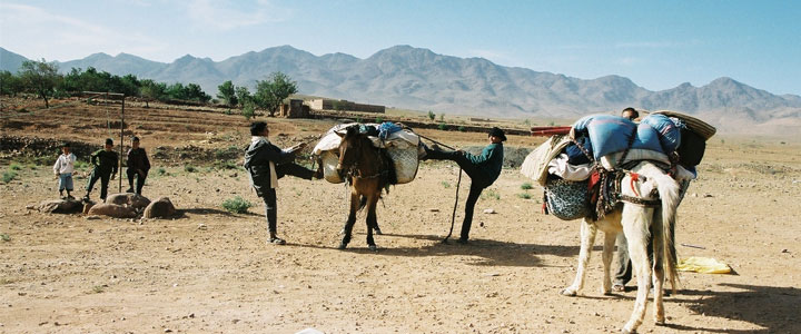Saghro Marokko Saghro Marokko