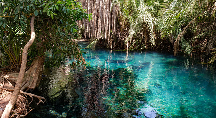 Kikuletwa Hot Spring in Tanzania