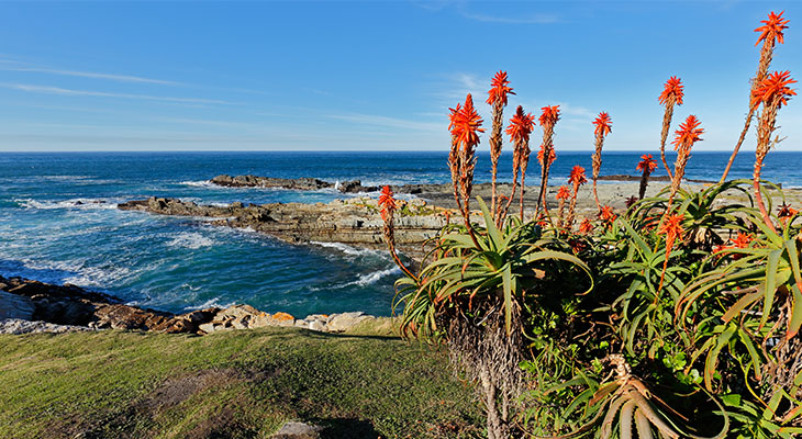 Uitzicht tijdens de Garden Route