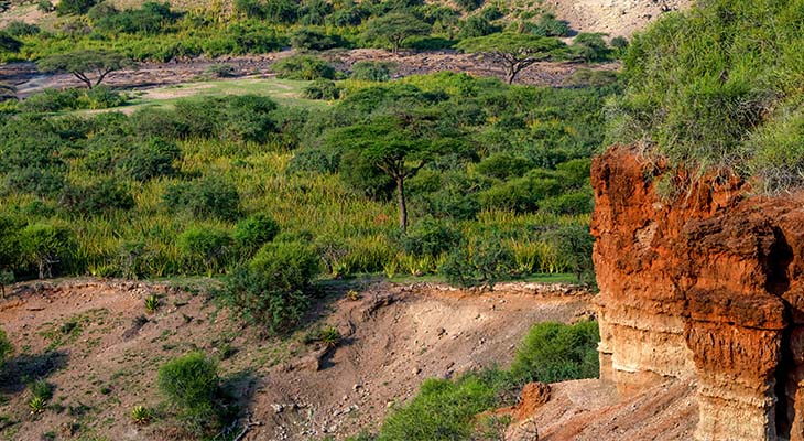 Uitzicht op het landschap van Olduvai Gorge