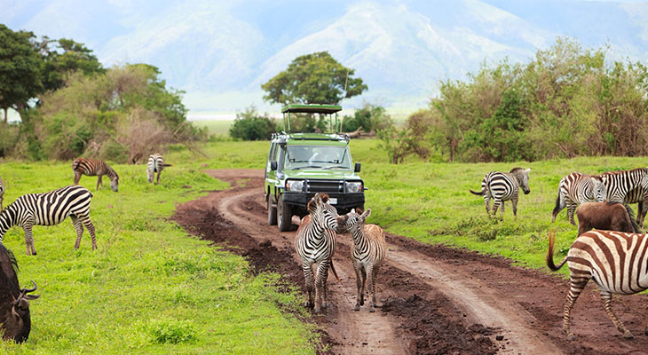 Safari en zebra's in Arusha National Park