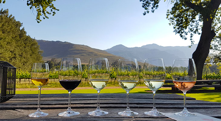 Wijn in Franschhoek