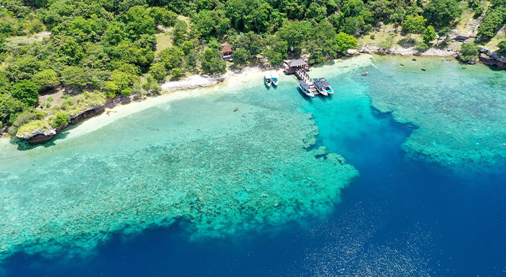 Menjangan Island 