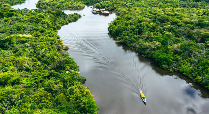 Amazone Iquitos