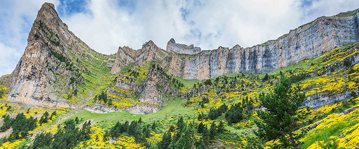 Spanje Spanje