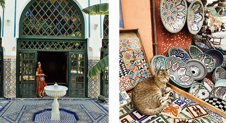 Bahia paleis en Marokkaanse kat