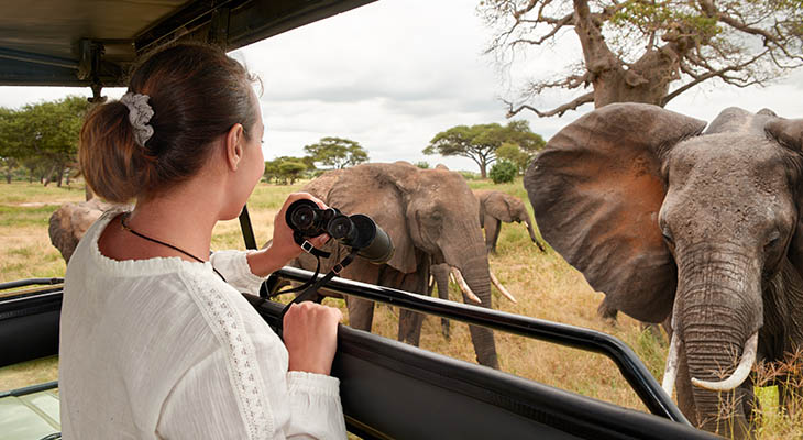 Gamedrive met olifanten in Tarangire National Park