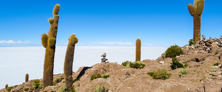 bolivia-Incahuasi-zoutvlakte