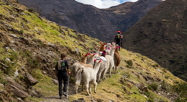 Lares Trail Machu Picchu