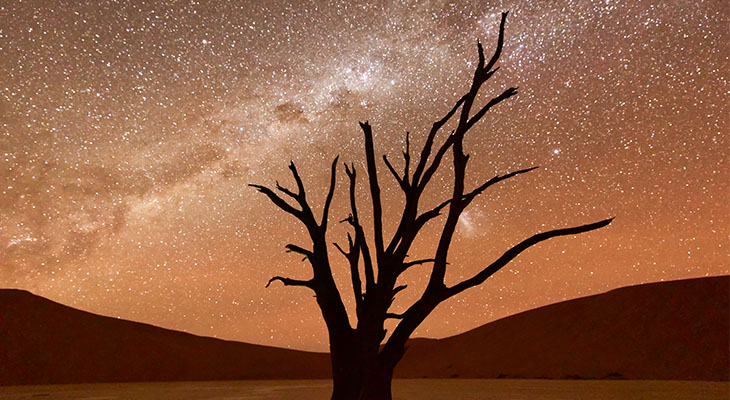 Dode Vlei bij zonsondergang in Sossusvlei, Namibië