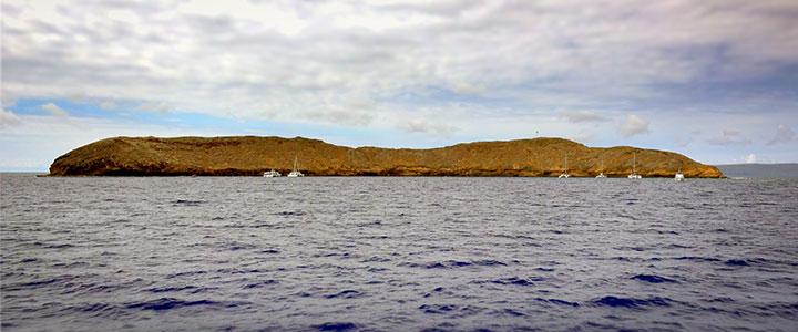 Molokini krater Molokini krater