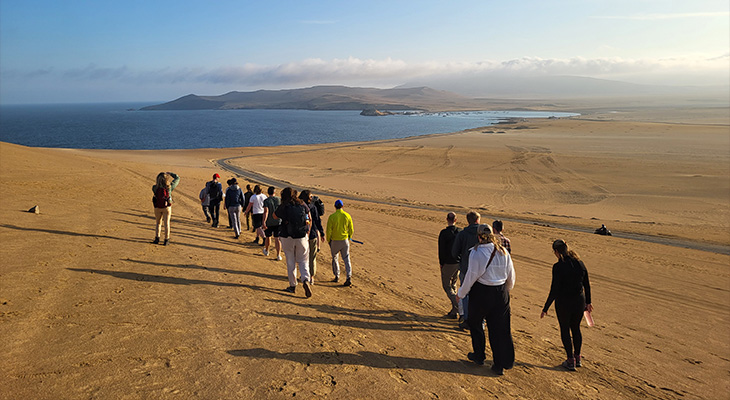 Paracas