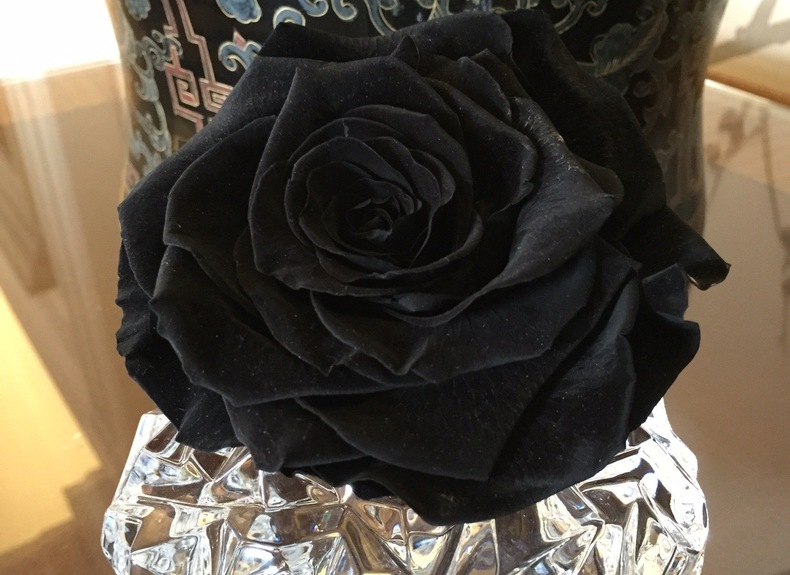 Preserved roses single