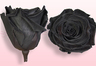 Geconserveerde rozen Zwart