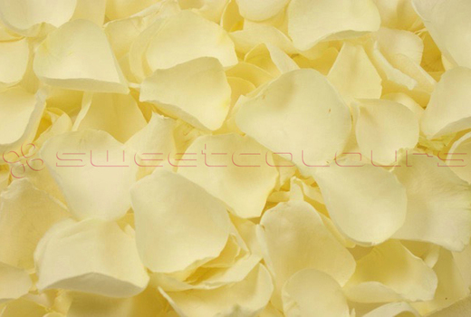 Freeze dried rose petals Off white