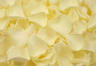 Freeze dried rose petals Off white