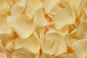 Product box freeze dried rose petals  cream