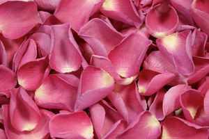 Petali di rosa liofillizzati di colore Rosa scuro.