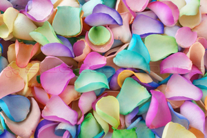 Product box freeze dried rose petals  rainbow