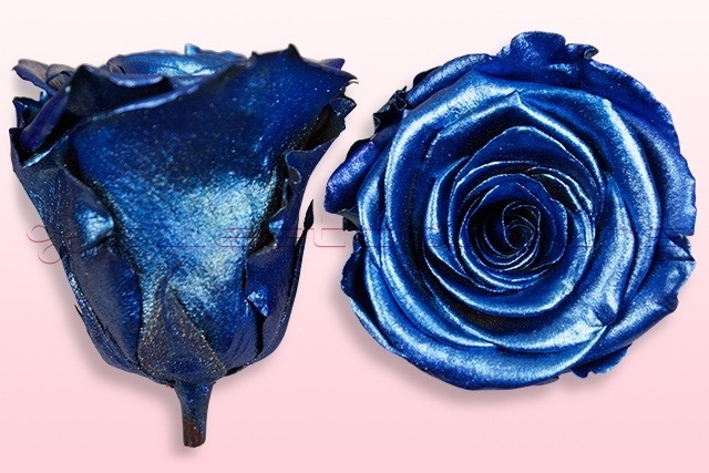 Preserved roses Metallic blue