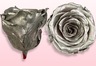 Preserved roses Metallic Silver