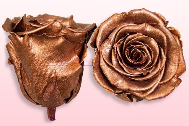 Preserved roses Metallic copper