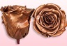 Rosas preservadas Cobre metalizado