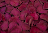 Petali di rosa stabilizzata Rosso vino