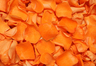 Konservierte Rosenblätter in der Farbe Orange