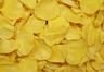 pétalos de rosa preservados de color amarillo