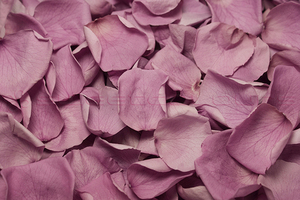 Product box preserved rose petals  lavender