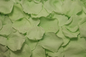 Product box preserved rose petals  mint green