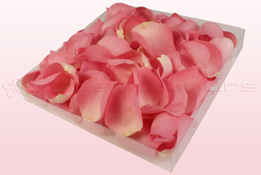 Envase de 1 litro con pétalos de rosa liofilizados de color rosa dulce.  
